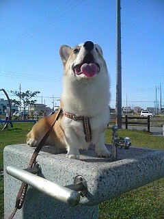 img_1051133_27710913_0.jpg