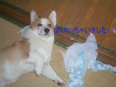 img_1051133_28876220_1.jpg