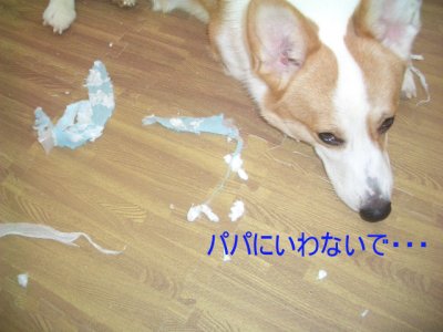 img_1051133_28876220_2.jpg