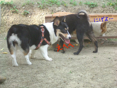 CIMG3554.jpg