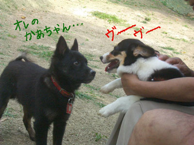 CIMG3558.jpg