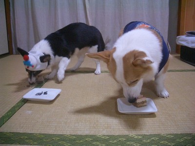 img_1051133_38847608_9.jpg